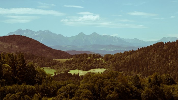 Mountain range with forested hills and a valley