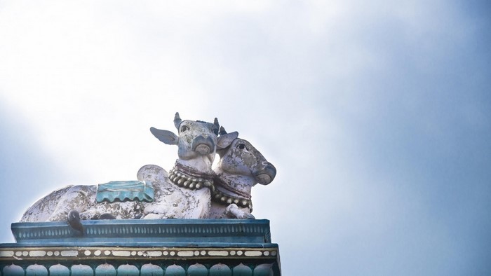 Sculpture of two cows against a bright sky