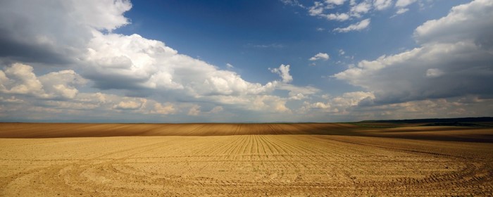 Vast agricultural fields under a cloudy sky