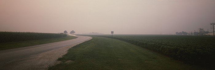 Road through misty agricultural fields at dawn