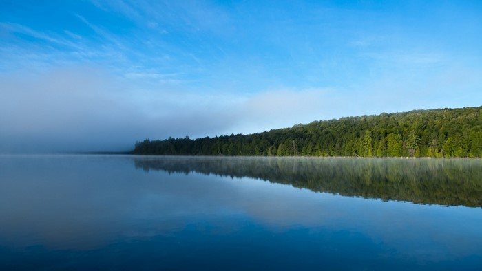 Misty lake with forest reflection at sunrise