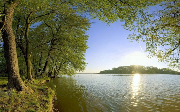Sunlight over a tranquil lake surrounded by trees