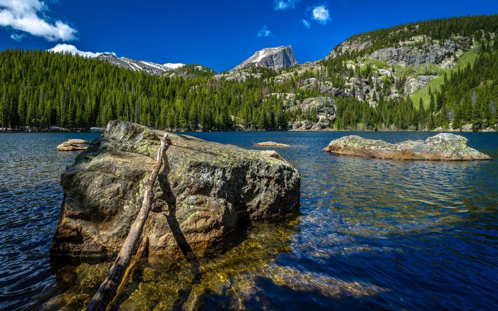 Rocky mountain lake with pine forest and peak