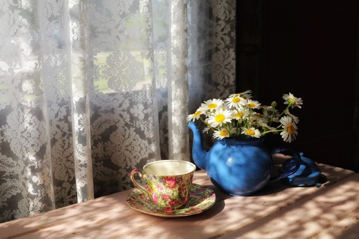 Still life of daisies in a blue teapot with a floral teacup
