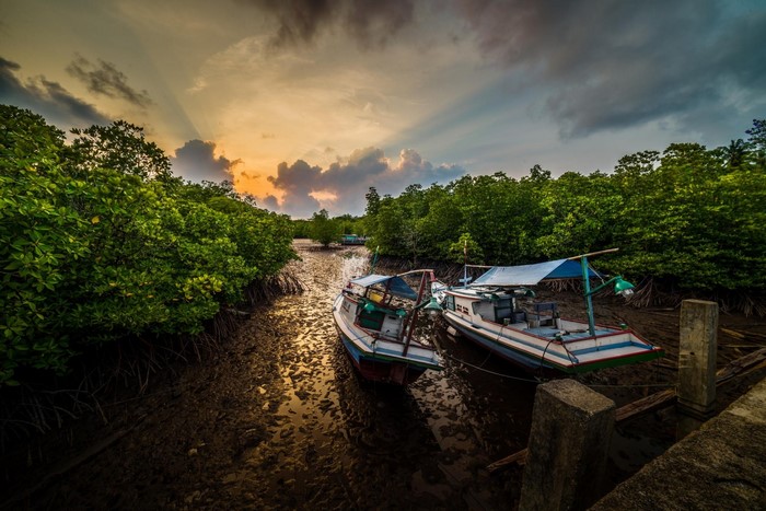 Boats in a mangrove canal at sunset