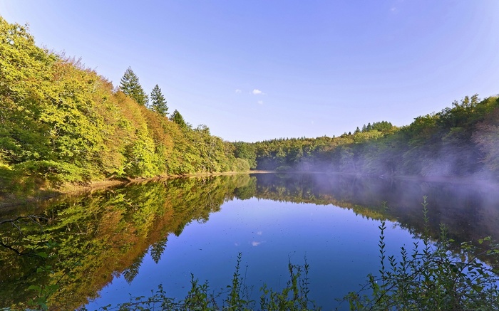 Misty lake surrounded by autumn forest