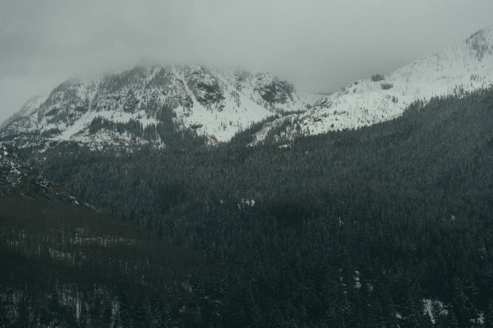Snow-covered mountains and dense forest under a cloudy sky