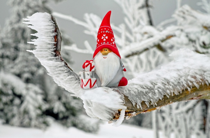 Christmas gnome with gifts on a snowy branch 4K