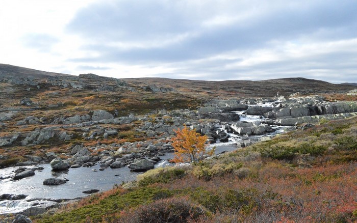 Rocky river landscape with autumn foliage under cloudy sky