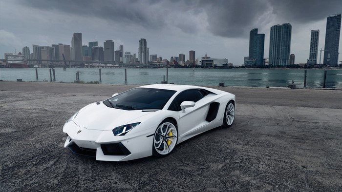 White Lamborghini Aventador parked by the water with city skyline