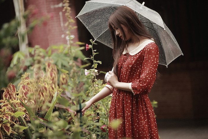 Woman in Red Dress Holding Transparent Umbrella
