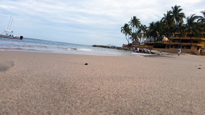 Beach with palm trees and buildings