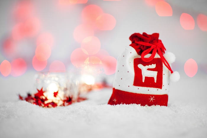 Christmas gift bag with reindeer on snow