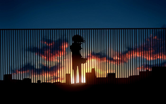 Anime girl silhouette against a sunset city skyline behind a fence