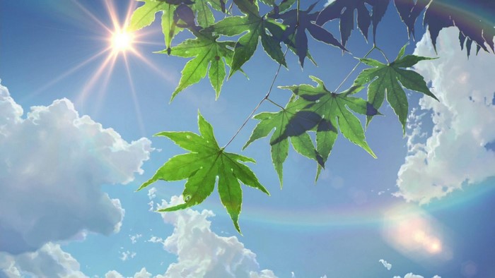 Green maple leaves against a blue sky with sun and clouds