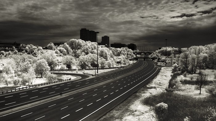 Monochrome highway with trees and buildings