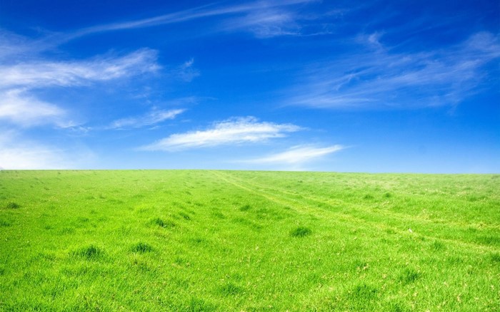 sunlight, landscape, hill, grass, sky, field, horizon, panorama ...