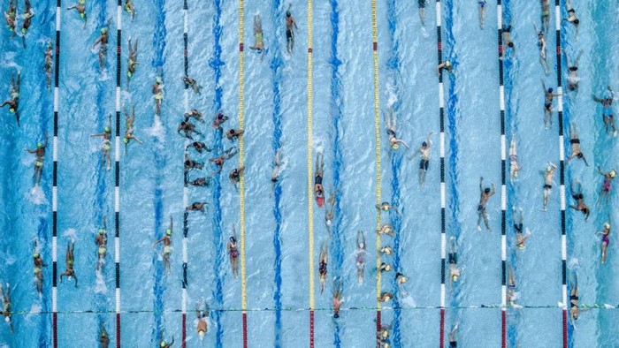 Aerial view of swimmers in a competition