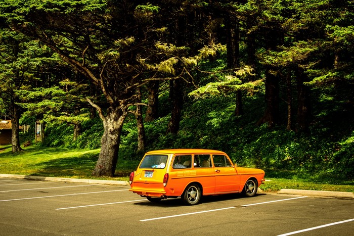 Orange station wagon parked by a forest