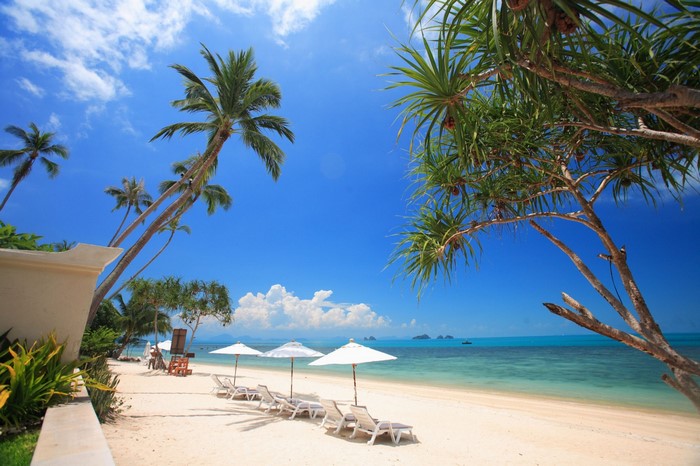 Tropical beach with palm trees and lounge chairs