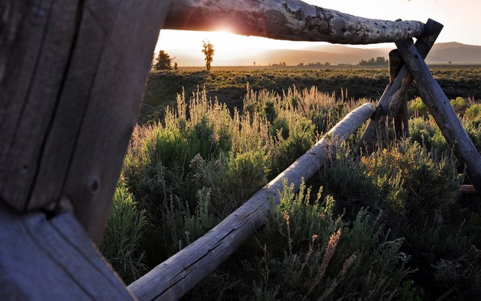 Sunset over a grassy field with a wooden fence