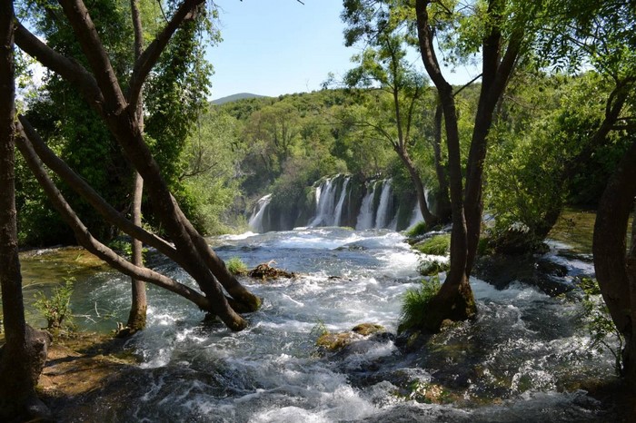 Waterfall and river flowing through a forest