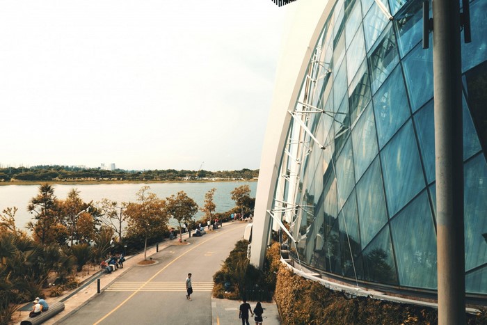 People walking by a modern glass building and a bay