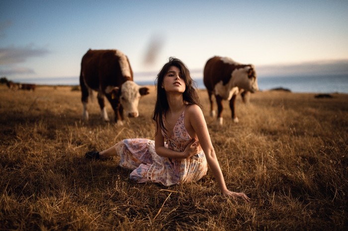 Woman sitting in a field with cows