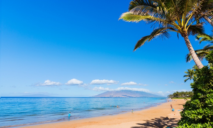 Maui beach with palm trees and ocean