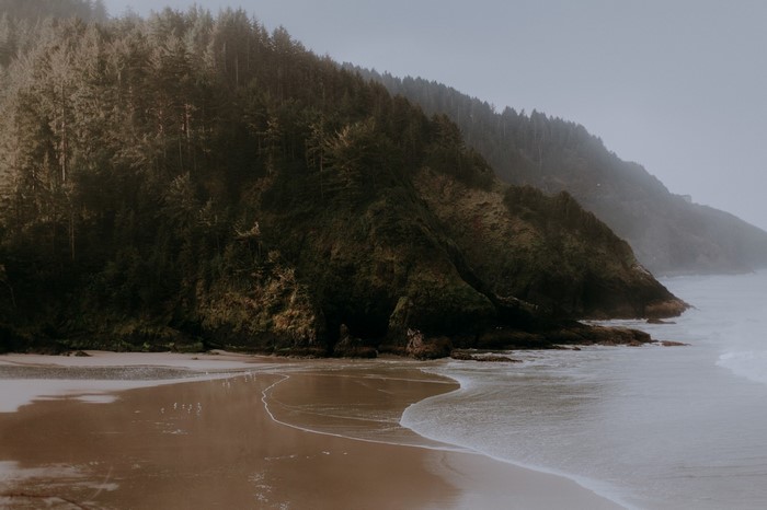 Misty forest coast with waves on a sandy beach