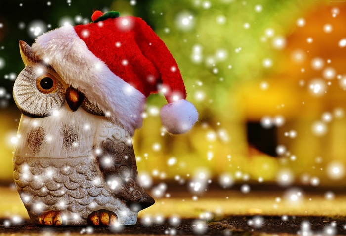 Christmas owl wearing Santa hat with falling snow