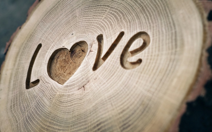 Love carved in wood with heart