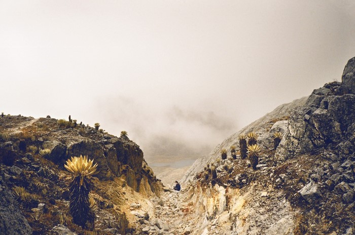 Person sitting on a rocky mountain path with fog