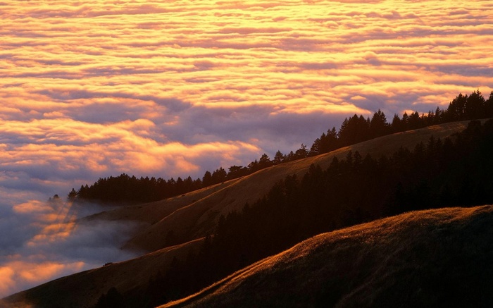 Rolling hills covered in fog at sunset