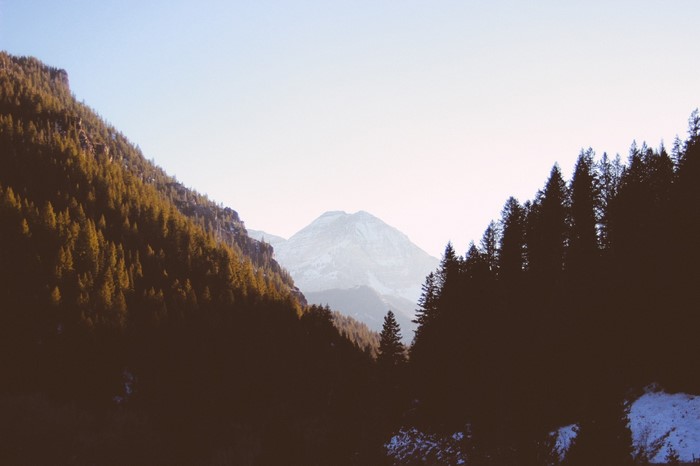 Mountain valley with pine trees and snow-capped peak