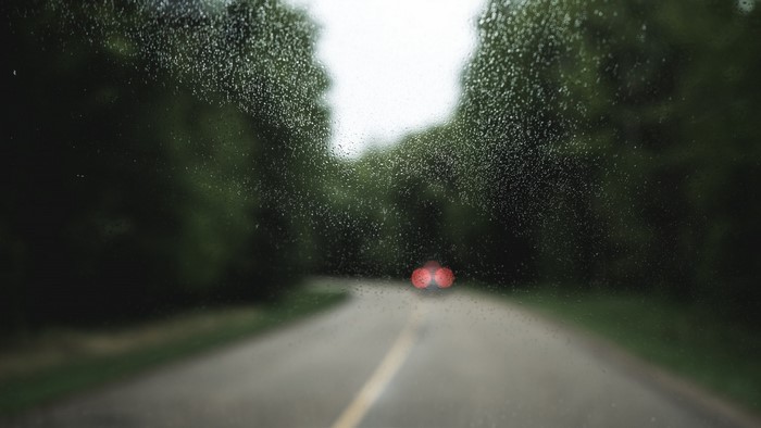 Driving on a wet road through a forest