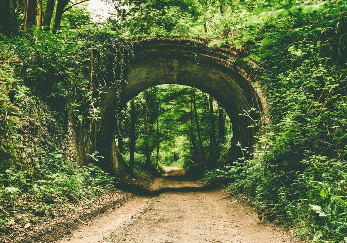 Overgrown brick archway over a dirt path in a forest