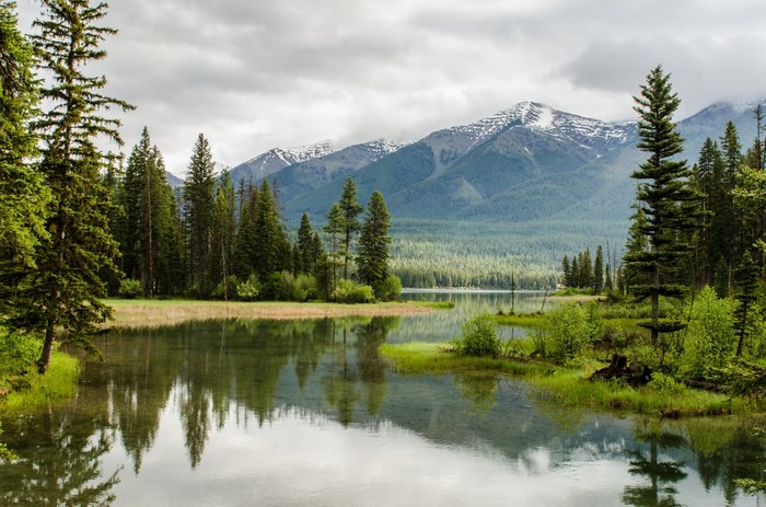Lake and mountains with pine trees and reflection