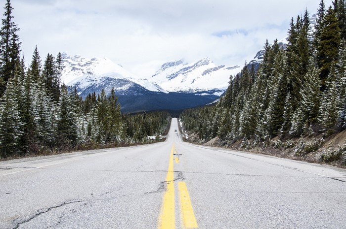 Road through a snowy forest towards snow-capped mountains