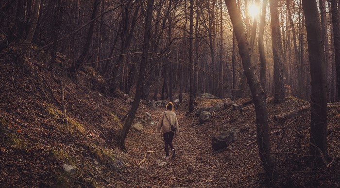 Woman walking through a sunlit autumn forest