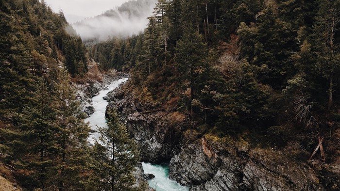 River flowing through a dense forest in the mountains