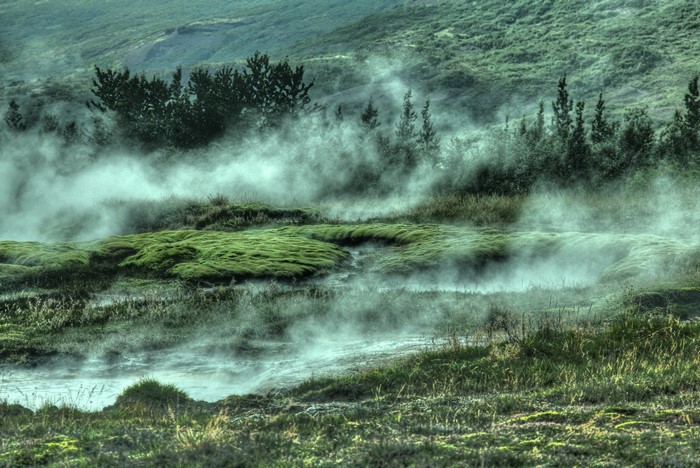Misty geothermal landscape with mossy mounds and trees