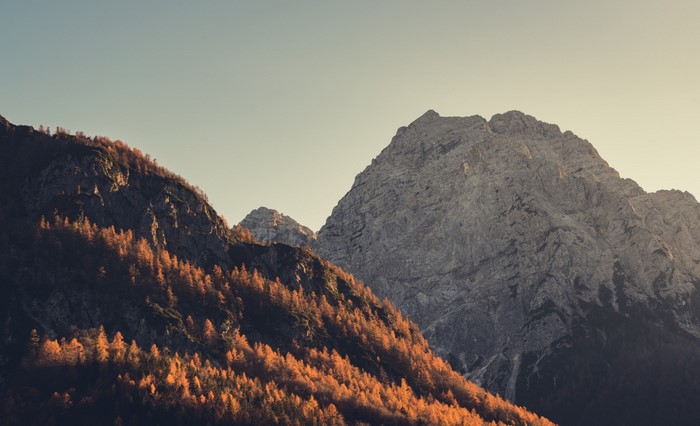 Autumn trees on a mountain slope at sunset