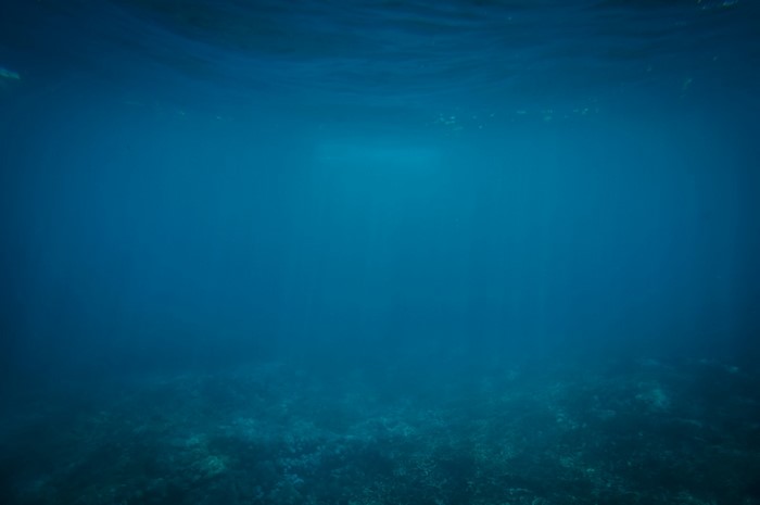 Underwater view of the ocean floor with sunlight filtering through the water