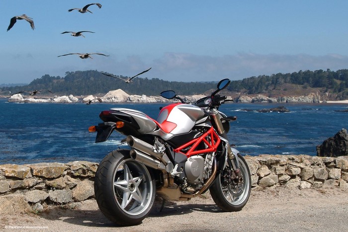 MV Agusta motorcycle parked by the ocean with birds flying
