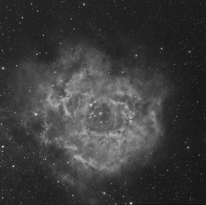 Monochrome image of the Rosette Nebula in space
