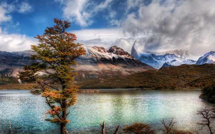 Tree by a lake with snow-capped mountains