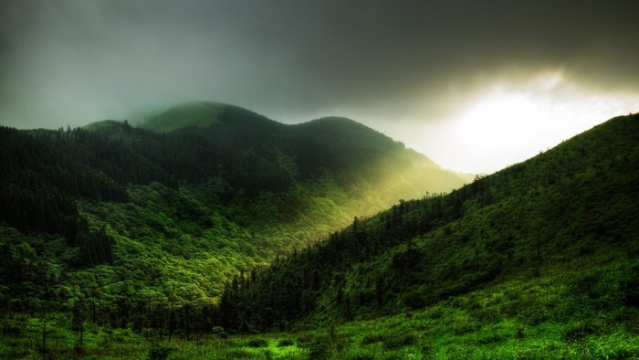 Sunlight beams through mist over green forested hills