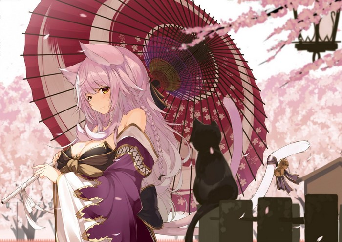 Anime girl with cat ears and umbrella with black cat