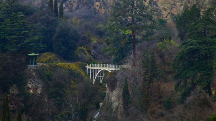 Bridge and gazebo on a forested hillside